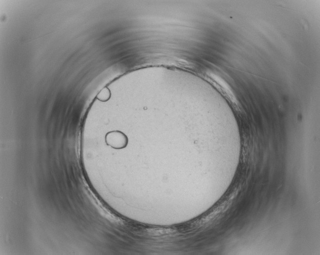 X0000088030804200705251115