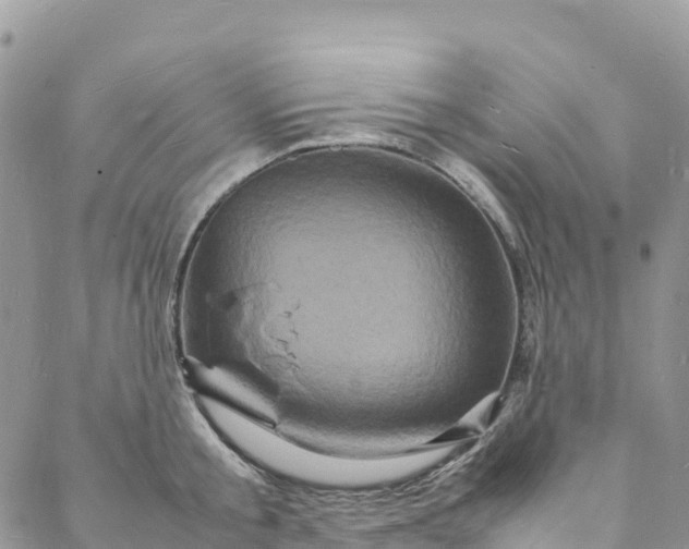 X0000088030805200705251115