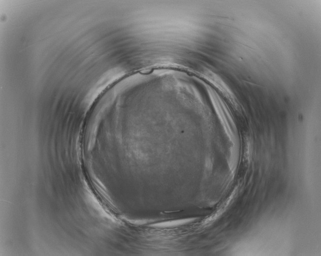 X0000088030806200705251115