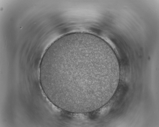 X0000088030807200705251115