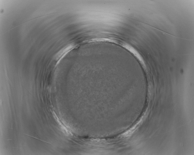 X0000088030809200705251115