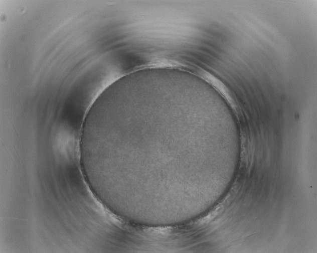 X0000088030810200705251115