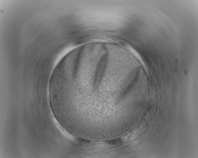 X0000088030811200705251115