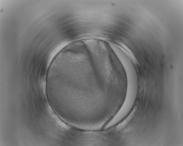 X0000088030812200705251115