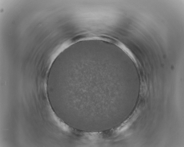 X0000088030813200705251115