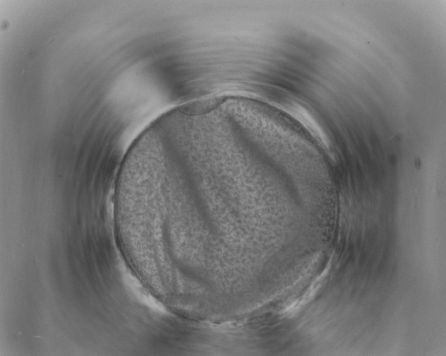 X0000088030814200705251115