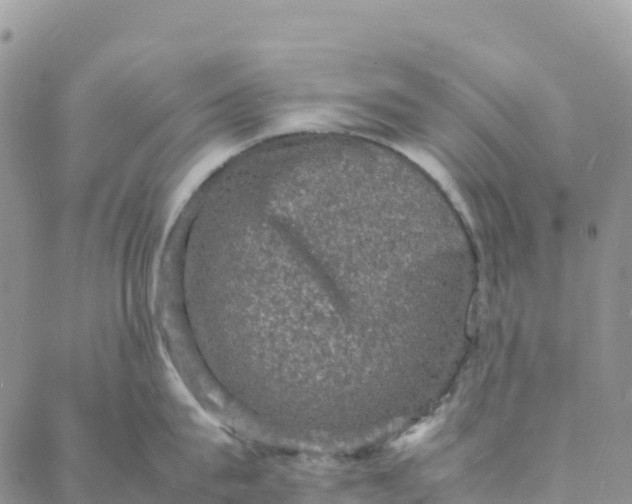 X0000088030815200705251115