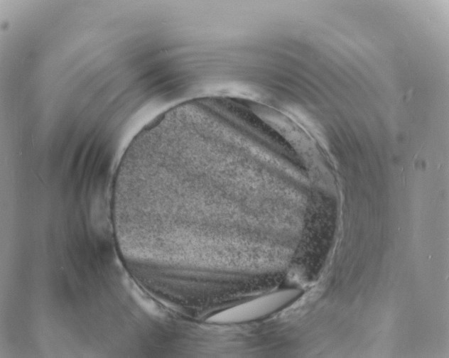 X0000088030816200705251115