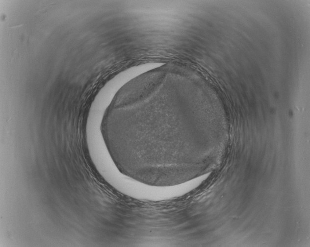 X0000088030818200705251114