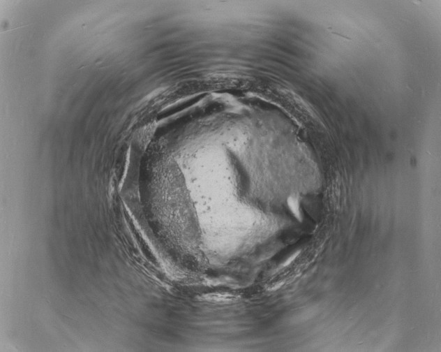 X0000088030821200705251114