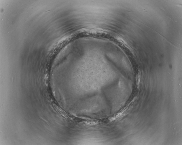 X0000088030822200705251114