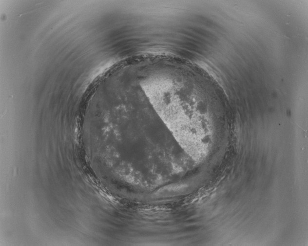 X0000088030823200705251114