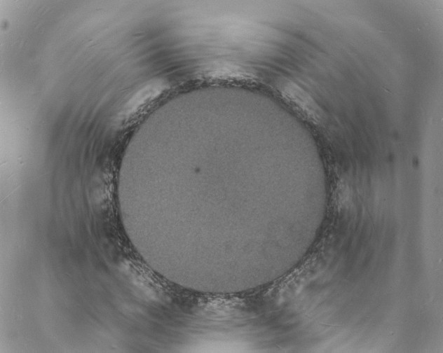 X0000088030824200705251114