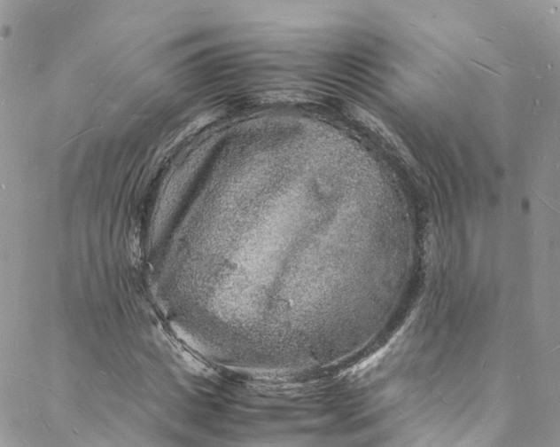 X0000088030825200705251114