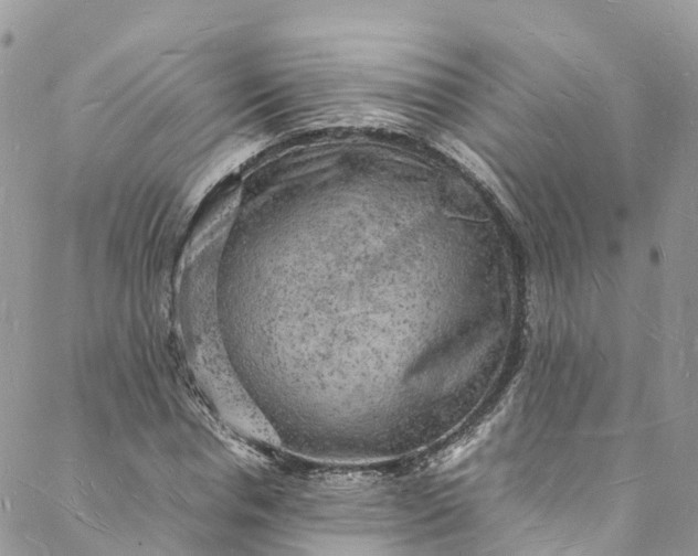 X0000088030826200705251114