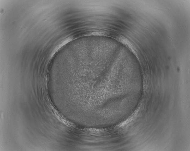 X0000088030827200705251114