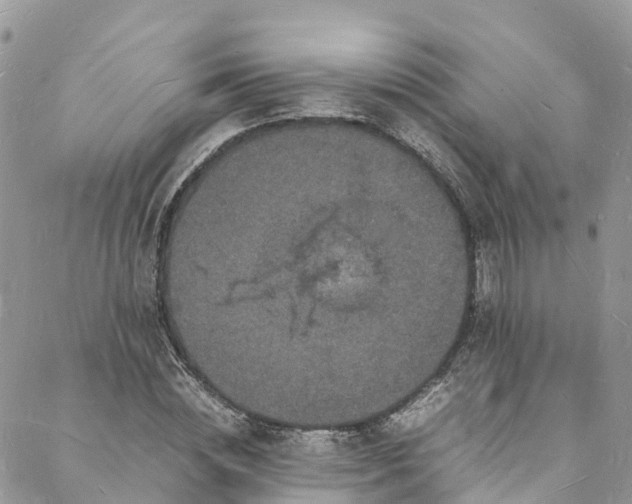 X0000088030828200705251114