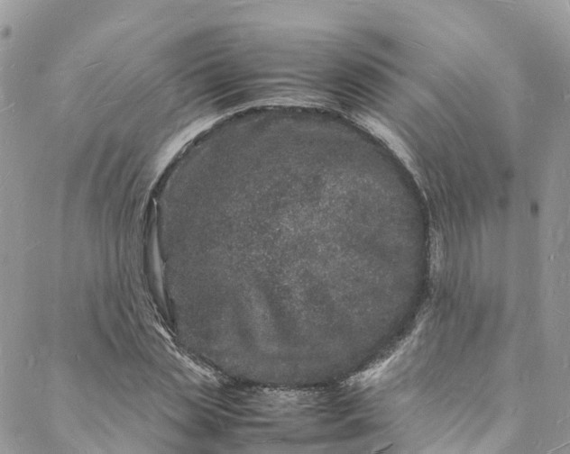 X0000088030829200705251114