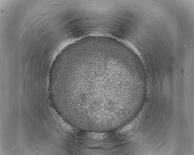 X0000088030831200705251114