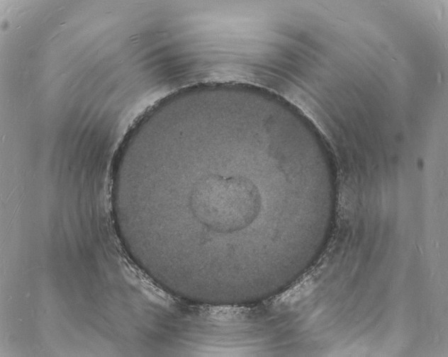 X0000088030832200705251114