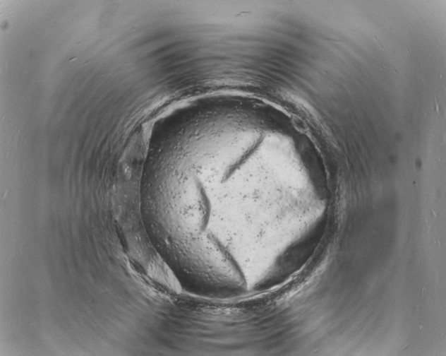 X0000088030833200705251114