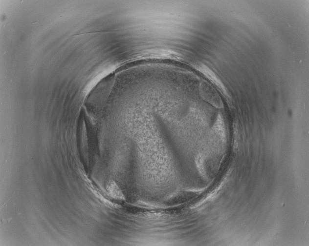 X0000088030834200705251114