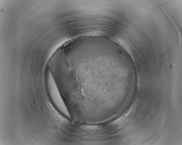 X0000088030835200705251114