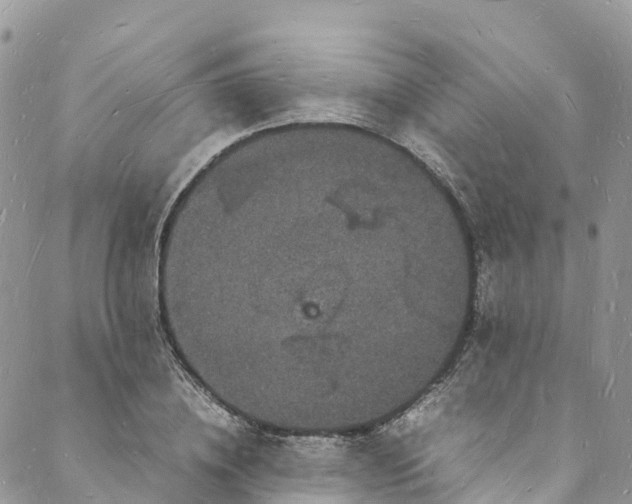 X0000088030836200705251114