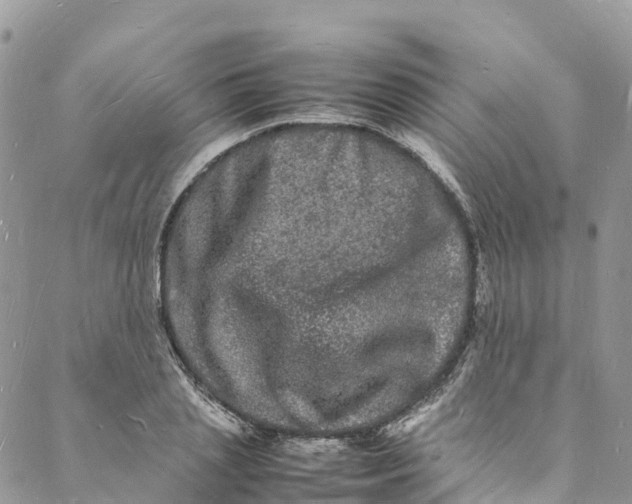 X0000088030837200705251114