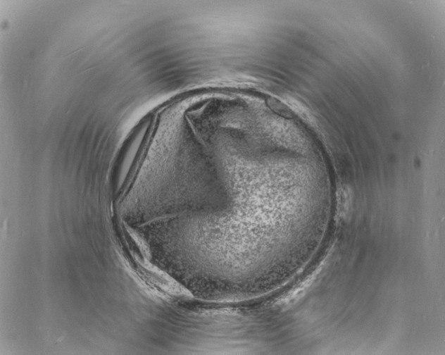 X0000088030838200705251114