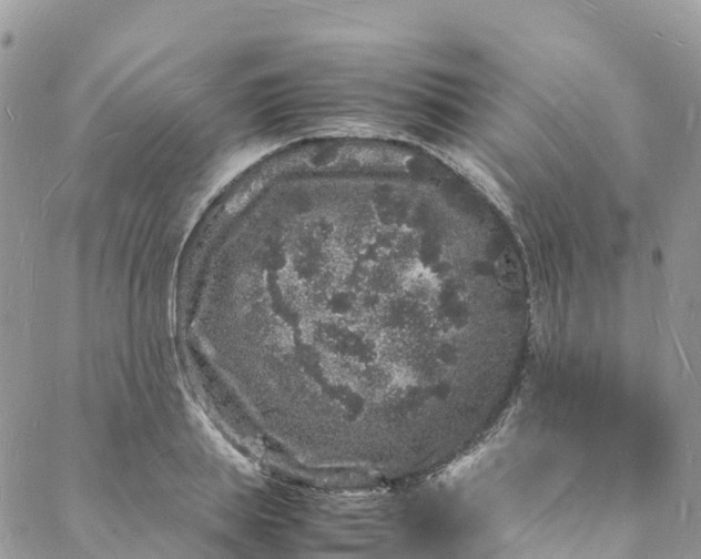 X0000088030839200705251114