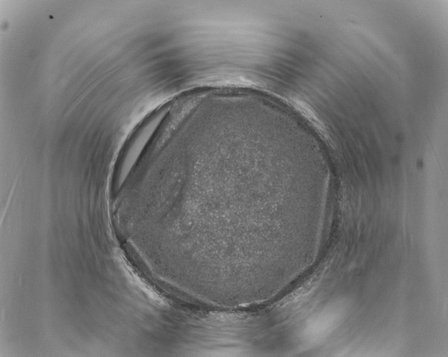 X0000088030840200705251114