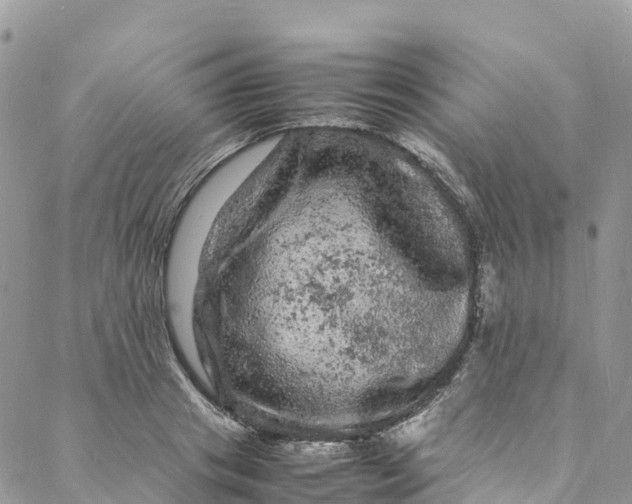 X0000088030841200705251114