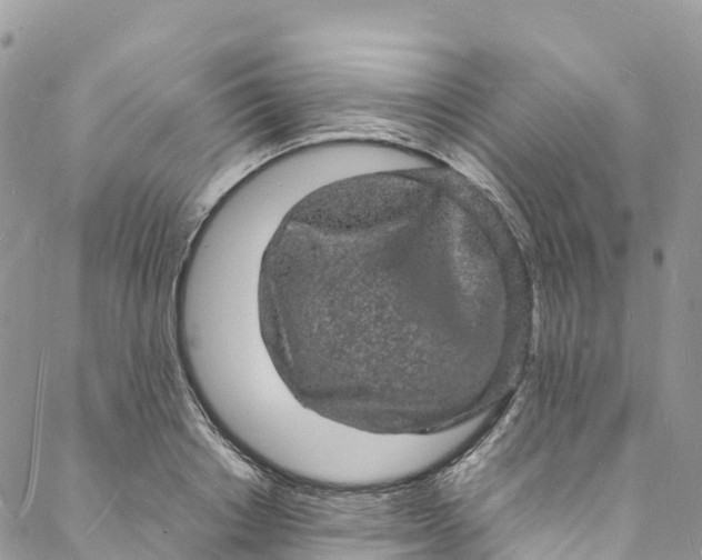 X0000088030842200705251114