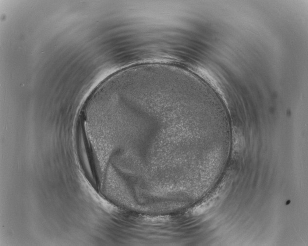 X0000088030843200705251114