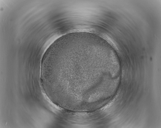 X0000088030844200705251114