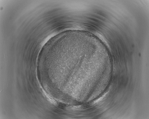 X0000088030845200705251114