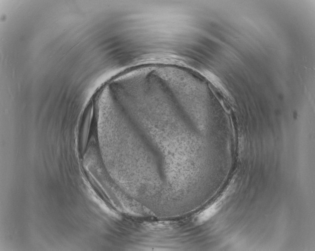 X0000088030846200705251114