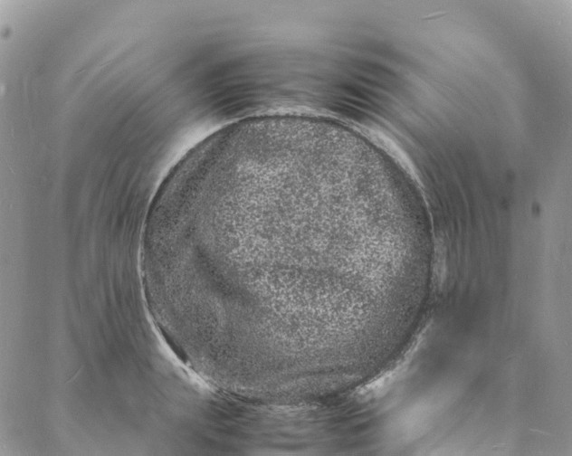 X0000088030847200705251114