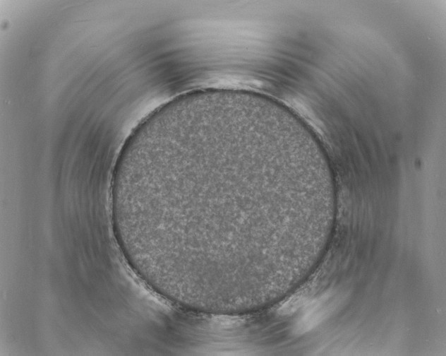 X0000088030848200705251114