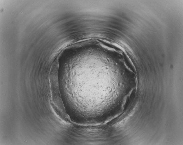 X0000088030849200705251114