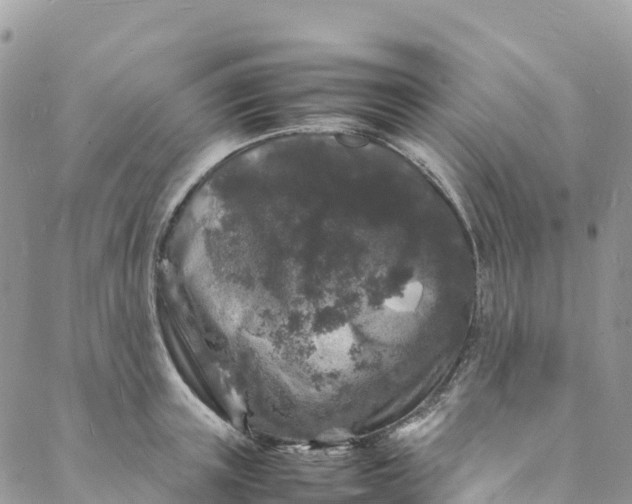 X0000088030851200705251115