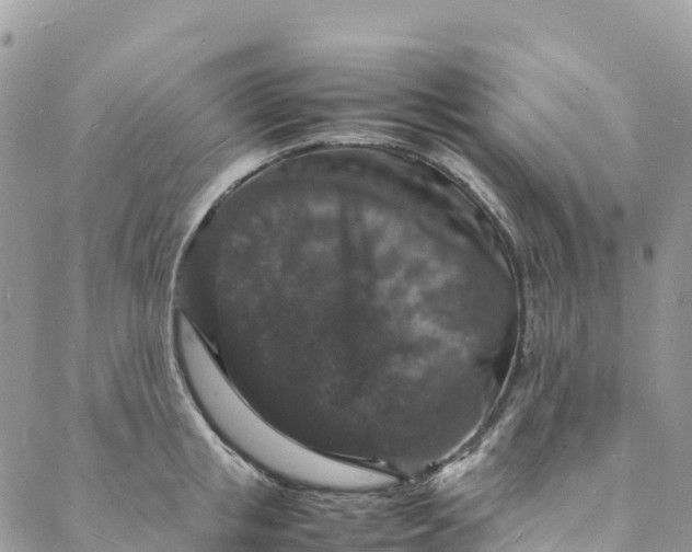 X0000088030853200705251115