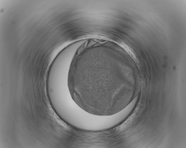 X0000088030854200705251115