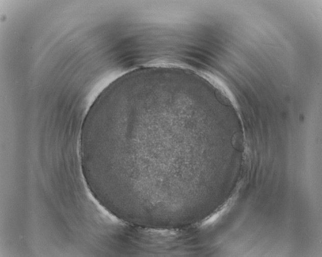 X0000088030855200705251115