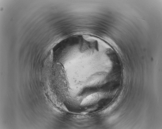 X0000088030857200705251115