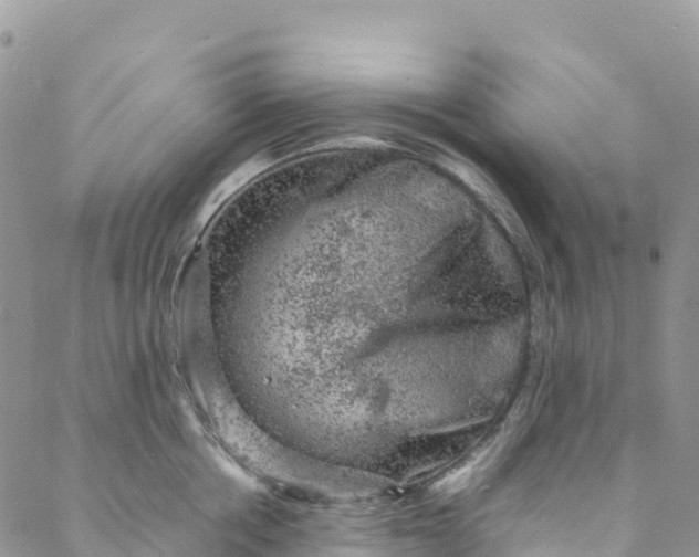 X0000088030858200705251115