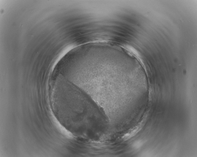 X0000088030859200705251115