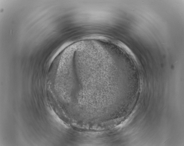 X0000088030860200705251115