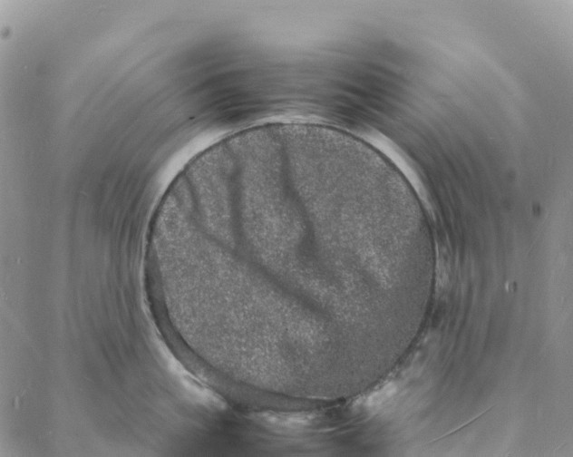 X0000088030861200705251115